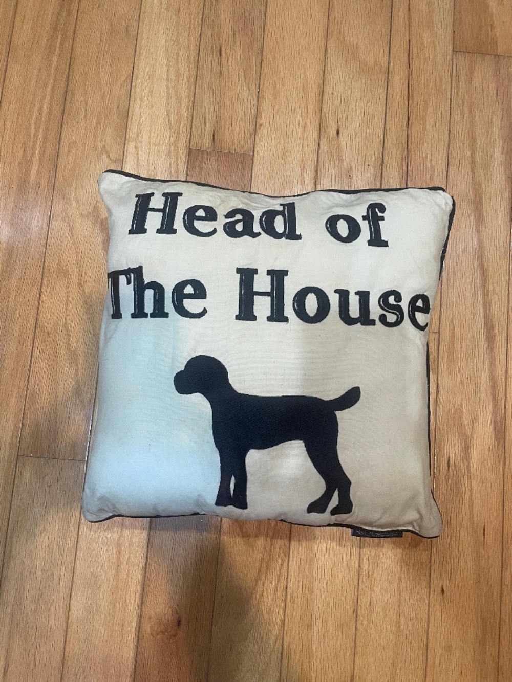 Dog throw pillow